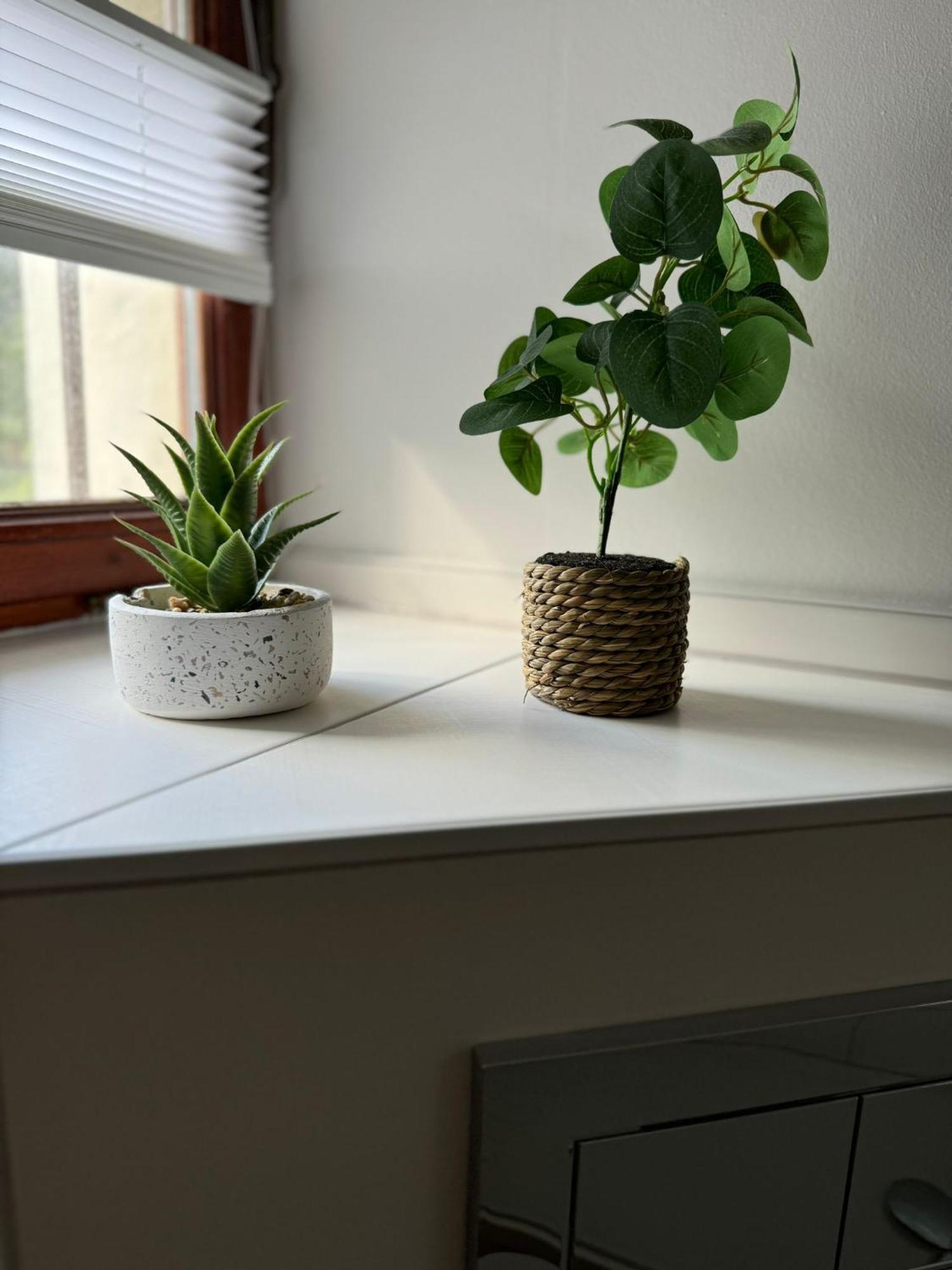 Ferienwohnung Alte Quickbox Thale Exterior foto